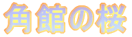 pق̍